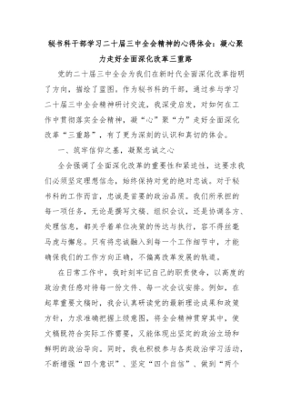 秘书科干部学习二十届三中全会精神的心得体会：凝心聚力走好全面深化改革三重路