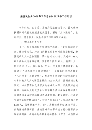 某县民政局2024年工作总结和2025年工作计划