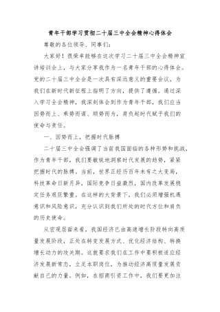 青年干部学习贯彻二十届三中全会精神心得体会