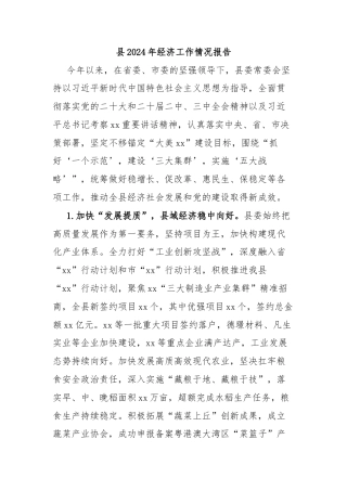 县2024年经济工作情况报告