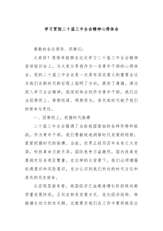 学习贯彻二十届三中全会精神心得体会