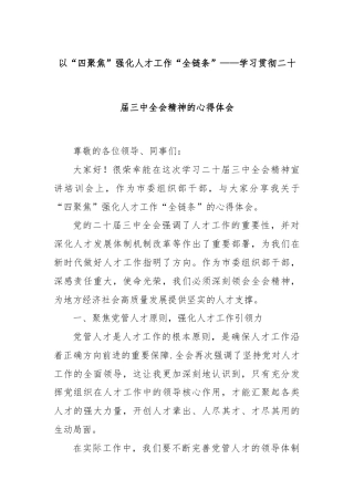 以“四聚焦”强化人才工作“全链条”——学习贯彻二十届三中全会精神的心得体会