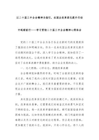 以二十届三中全会精神为指引，在国企改革深化提升行动中砥砺前行——学习贯彻二十届三中全会精神心得体会