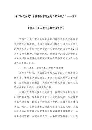 在“时代洪流”中激荡改革开放的“澎湃伟力”——学习贯彻二十届三中全会精神心得体会