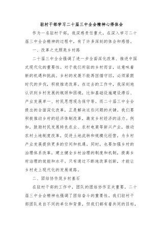 驻村干部学习二十届三中全会精神心得体会