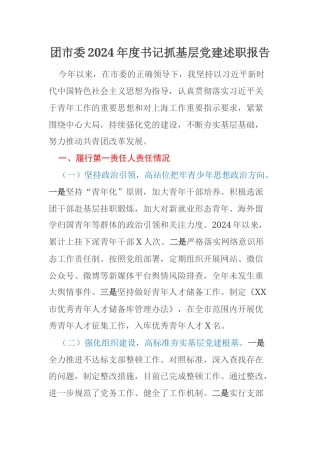 团市委2024年度书记抓基层党建述职报告