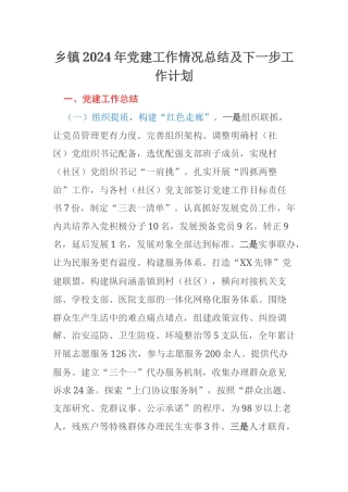 乡镇2024年党建工作情况总结及下一步工作计划