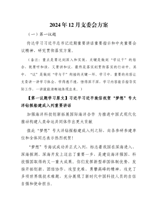 01-2024年12月支委会方案