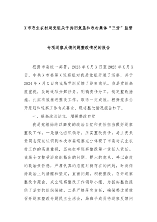 X市农业农村局党组关于拆旧复垦和农村集体“三资”监管专项巡察反馈问题整改情况的报告