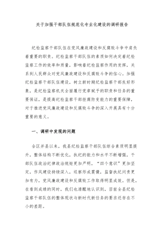 关于加强干部队伍规范化专业化建设的调研报告