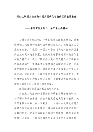深刻认识国家安全是中国式现代化行稳致远的重要基础——学习贯彻党的二十届三中全会精神