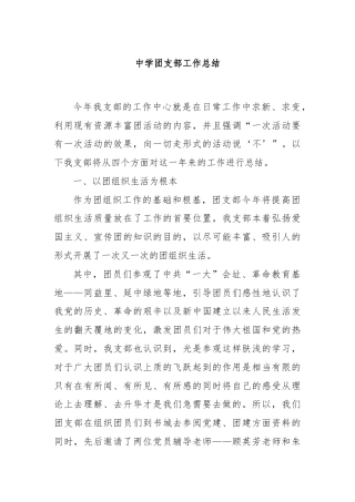 中学团支部工作总结
