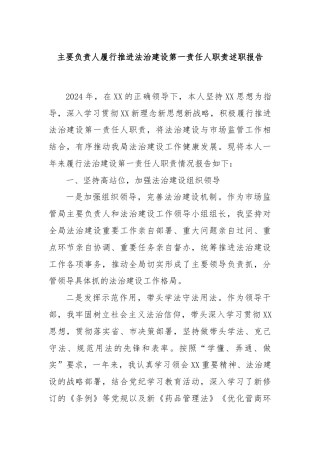 主要负责人履行推进法治建设第一责任人职责述职报告