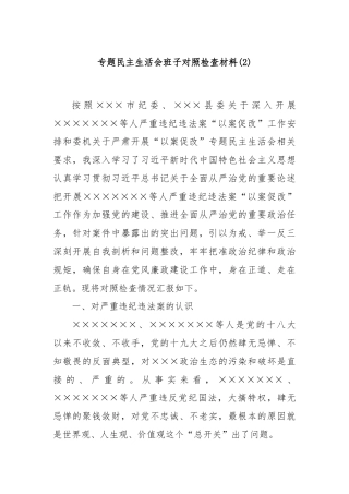 专题民主生活会班子对照检查材料(2)