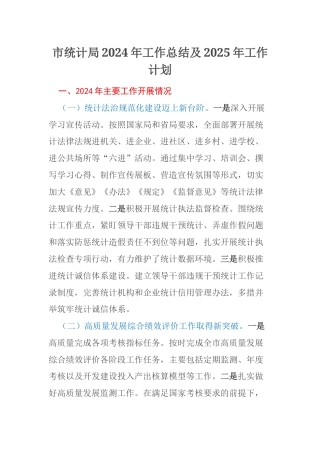 市统计局2024年工作总结及2025年工作计划