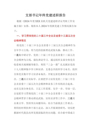 支部书记年终党建述职报告