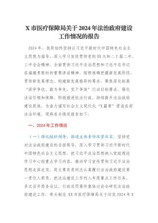 X市医疗保障局关于2024年法治政府建设工作情况的报告