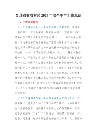 X县农业农村局2024年安全生产工作总结