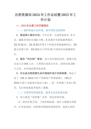 自然资源局2024年工作总结暨2025年工作计划