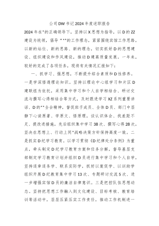 公司党委书记2024年度述职报告