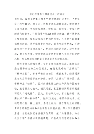 书记在青年干部座谈会上的讲话