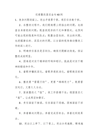 巡察整改落实金句40例