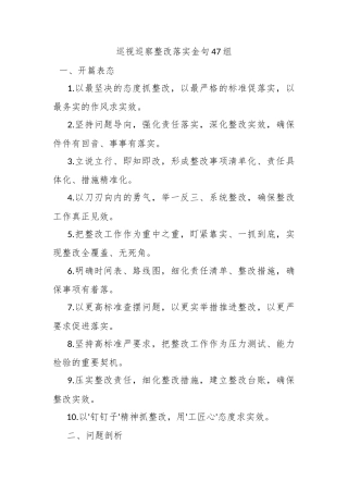 巡视巡察整改落实金句