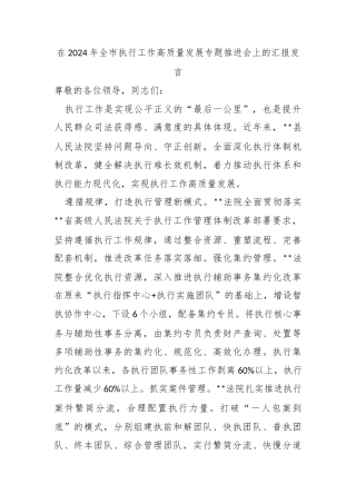 在2024年全市执行工作高质量发展专题推进会上的汇报发言