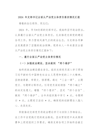 2024 年支部书记全面从严治党主体责任落实情况汇报