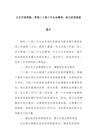 立足行政职能，贯彻二十届三中全会精神，助力政府效能提升
