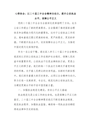 心得体会：以二十届三中全会精神为动力，提升公安执法水平，保障公平正义
