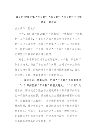 镇长在2024年镇“河长制”“林长制”“田长制”工作推进会上的讲话