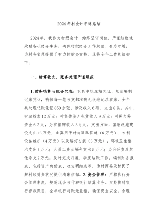 2024年村会计年终总结
