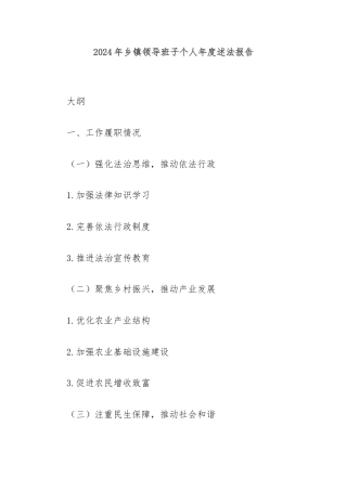 2024年乡镇领导班子个人年度述法报告