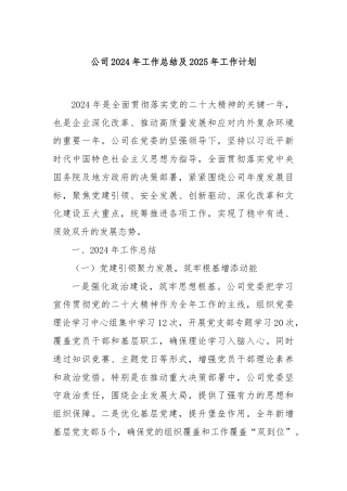 公司2024年工作总结及2025年工作计划