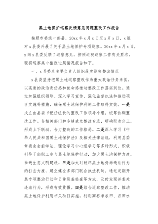 黑土地保护巡察反馈意见问题整改工作报告