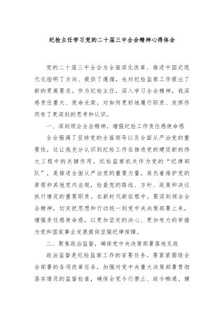 纪检主任学习党的二十届三中全会精神心得体会