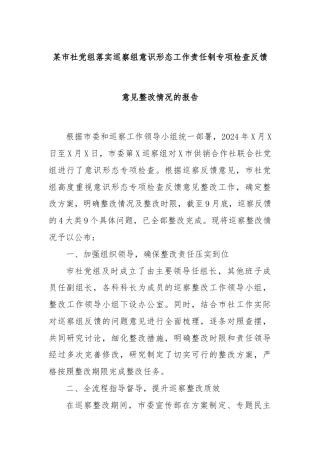 某市社党组落实巡察组意识形态工作责任制专项检查反馈意见整改情况的报告
