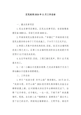 区民政局2024年11月工作总结