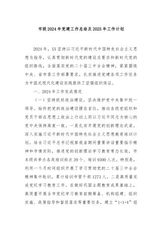 市级2024年党建工作总结及2025年工作计划
