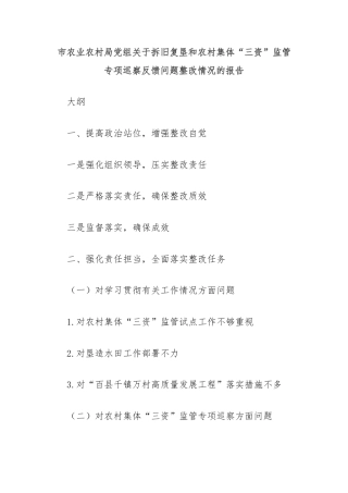 市农业农村局党组关于拆旧复垦和农村集体“三资”监管专项巡察反馈问题整改情况的报告