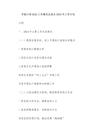 市统计局2024工作情况总结及2025年工作计划