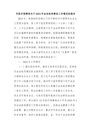 市医疗保障局关于2024年法治政府建设工作情况的报告