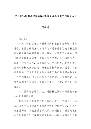 市长在2024年全市耕地保护和粮食安全专题工作推进会上的讲话