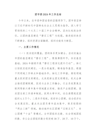团市委2024年工作总结