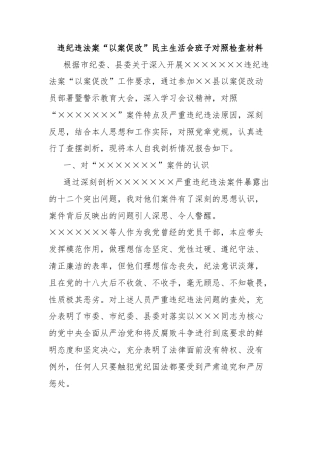 违纪违法案“以案促改”民主生活会班子对照检查材料