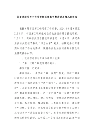 县委政法委关于市委提级巡察集中整改进展情况的报告
