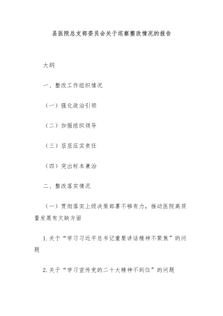 县医院总支部委员会关于巡察整改情况的报告