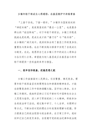 乡镇年轻干部成长心得感悟：在基层熔炉中淬炼青春