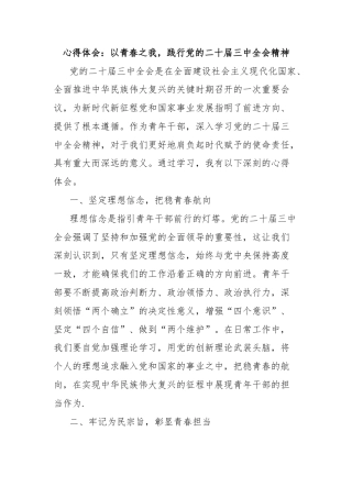 心得体会：以青春之我，践行党的二十届三中全会精神